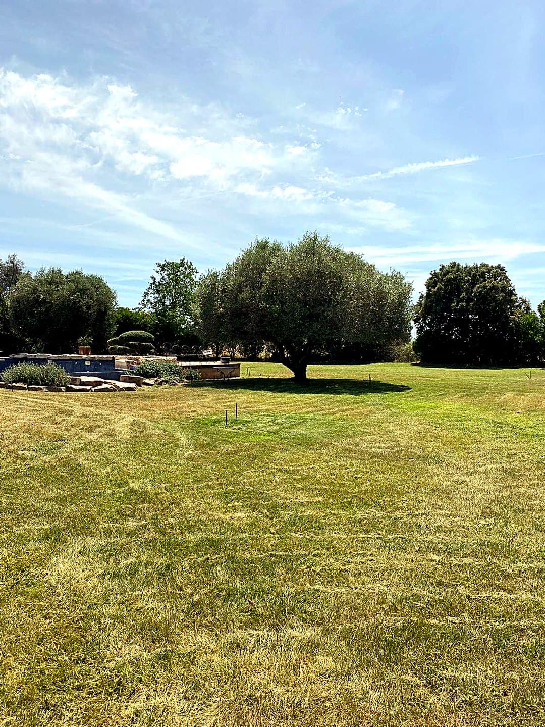 Jardin après tonte et remise en état